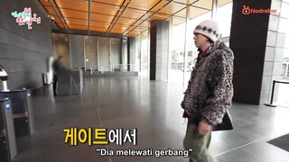 Omniscient Interfering View Ep. 286 (SUB INDO) ZICO ke gedung HYBE 🥰😍