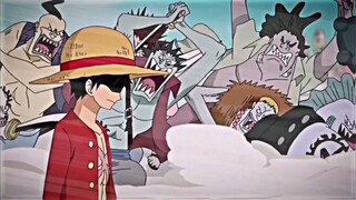 panik dong! haki raja luffy