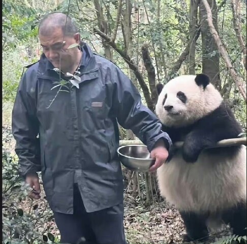 Tôi cứ bảo cậu Béo nhìn Long đội cái ánh mắt ấy quen lắm, ha ha ha
