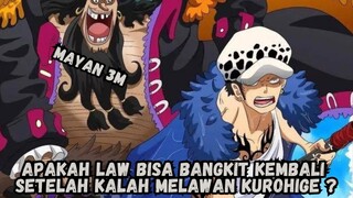 Apakah Bajak Laut Law Bisa Bangkit Kembali ?