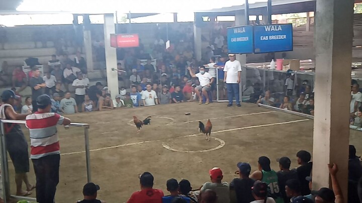 12/28/25 1st fight W 2hits TCA-Ternate