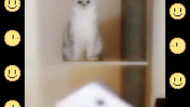 masukkan judul (wajib)