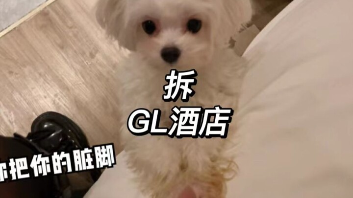 Let me show you the GL Hotel that Goudan and I got!! Haha ...