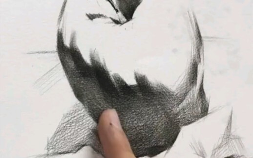 Detail Teknik Gosok dalam Menggambar Benda Mati Apel dengan Sketsa Karbon