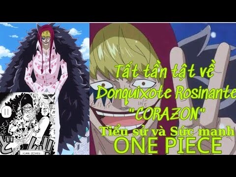 One Piece|Tất tần tật về Donquixote Rosinante - "CORAZON"|Hồ Sơ Nhân Vật #19|GSANIME.