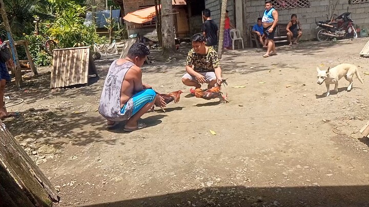 kahit mataas yakang yaka