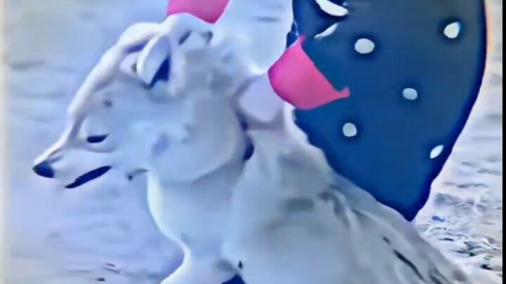 ⚡Tiga Tamparan Hancurkan Mimpi Raja Serigala, Tongkat Bangkitkan Kasih Setia Anjing Kesatria⚡