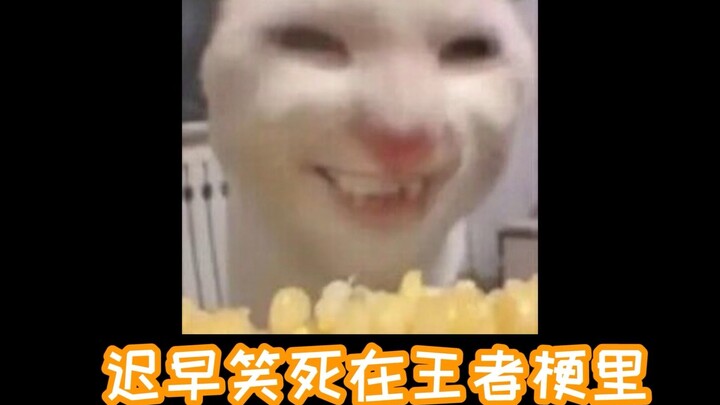 Meme panas yang meledak selama beberapa tahun terakhir ala Xiao Wang, coba tebak kamu tahu berapa ba