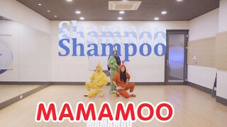 MAMAMOO《Shampoo》练习室公开！最新日文单曲准备中！