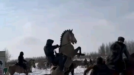 Cưỡi ngựa lớn