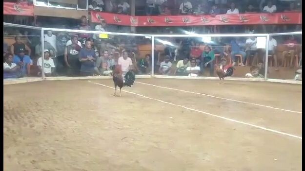 bros Barnett Ng Tito ko parang robot