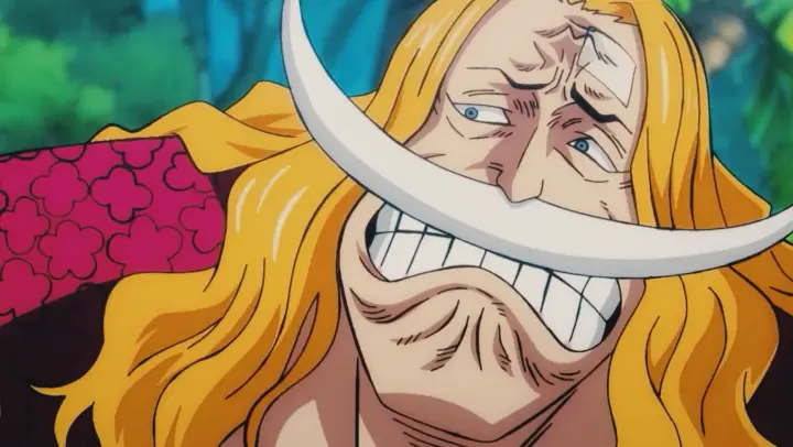 [One Piece] This goodbye will be the last