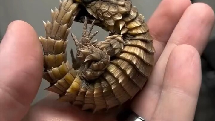 Một anh chàng nhỏ bé rất lo lắng về mặt xã hội, nhưng rất vui vẻ sau khi được thuần hóa