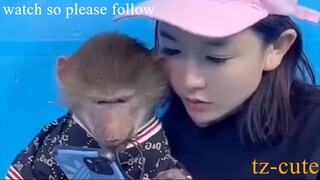 funny videos / monkey vid / jennie love animals / watch so please follow #bilibili #tzcute #shorts