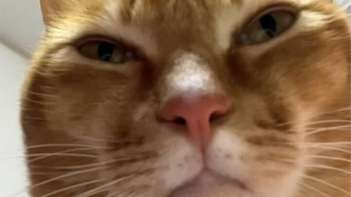 Dun Ge’s temper really does match his looks.