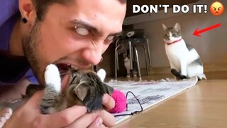 Angry Cats Reaction- Funny Pets Videos 2021| Super Dog