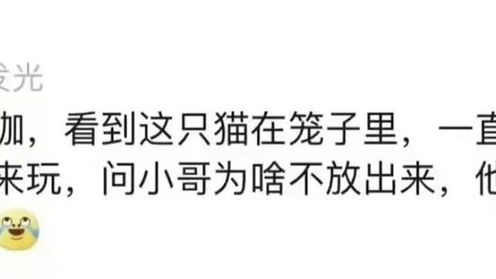 Turns out the cats at cat cafes are earning their keep through hard work—this little guy’s even deve