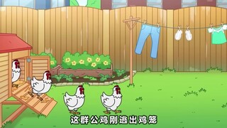 公鸡为了活命，居然假扮成人类逃跑！