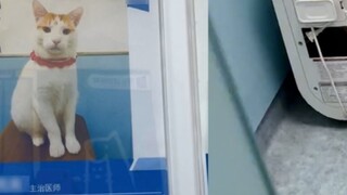 Một người phụ nữ đã trả 10 nhân dân tệ để được hẹn gặp bác sĩ chuyên khoa, và khi mở cửa, cô nhìn th