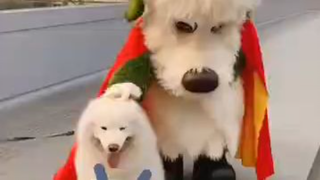Wanwan and Doggy