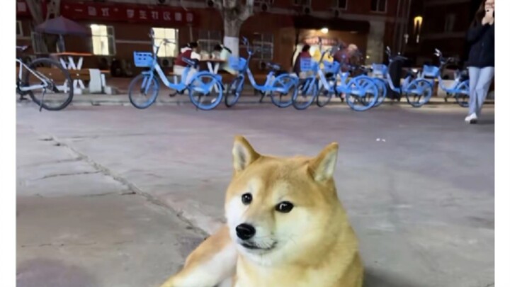 That expression, no doubt about it.