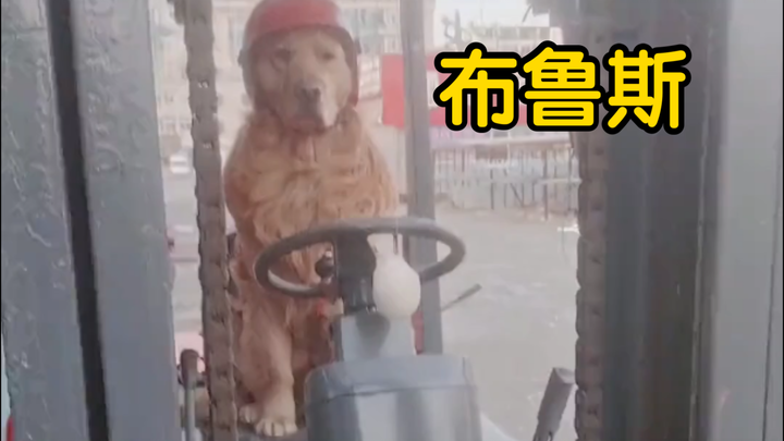 记住，布鲁斯学的C1