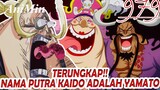 TERUNGKAP!! Nama Anak Kaido Adalah Yamato - Review Onepiece Chapter 979