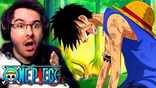 ZORO DISAPPEARED?! | One Piece Episode 403-404 REACTION | Anime Reaction