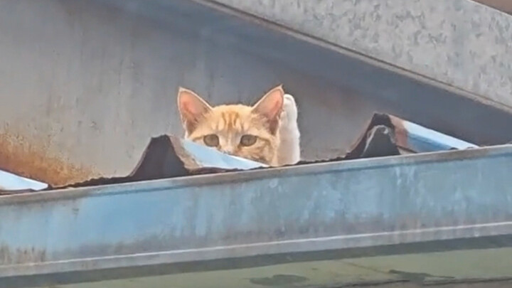 “Komunikasi Tanpa Hambatan”