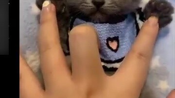 With such a clingy and clingy kitten, what does it have to do with my girlfriend?