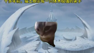 猫meme眼宗篇，西门和瞳瞳~