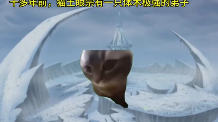 猫meme眼宗篇，西门和瞳瞳~
