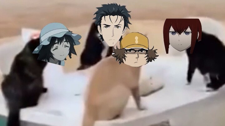 If everyone in Steins;Gate turned into a cat