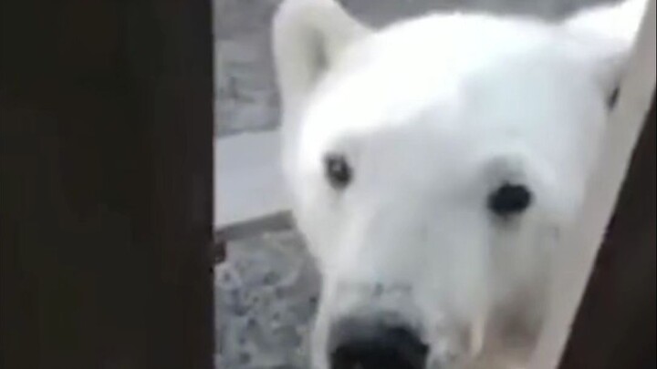 Orang: Sebenarnya nggak perlu tiap hari datang, karena aku nggak yakin tiap hari kamu yang ada di sa