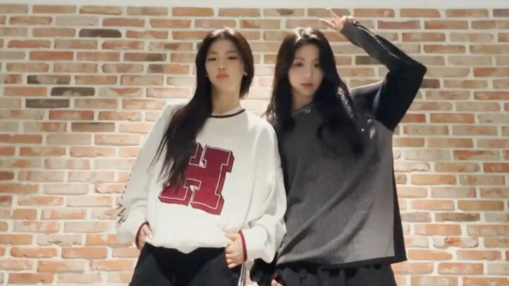 【Ruka Ahyeon】Don't be too handsome, you two｜Water challenge