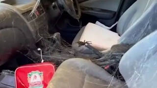 Sepertinya mobil ini tidak bisa dipakai lagi...