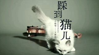 《踩到猫儿》大家熟悉但是不知道名字的曲子