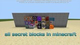 How to get all secret blocks in Minecraft