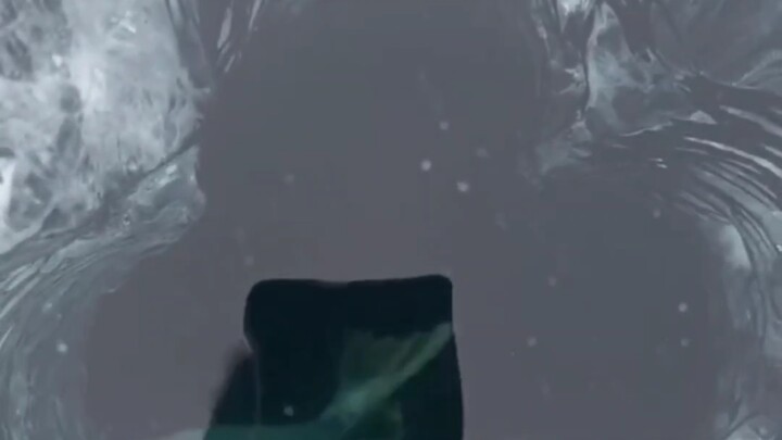 Makhluk mungil yang mendadak muncul dari bawah air, miumm!