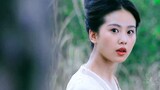 What was Liu Shishi doing before she became famous?