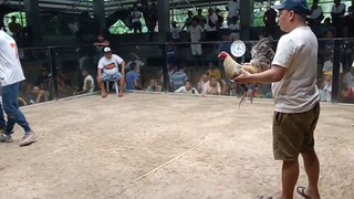 The Relentless Dom