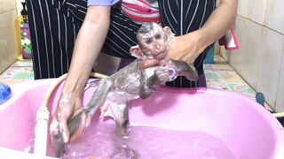 Mino monkey in the shower with mom