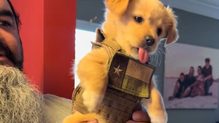 The Texas Hunk’s Bodyguard Dog 🐶