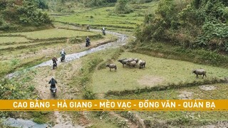 Cao Bằng - Hà Giang - Mèo Vạc - Đồng Văn - Quản Bạ // Cinematic Vlog