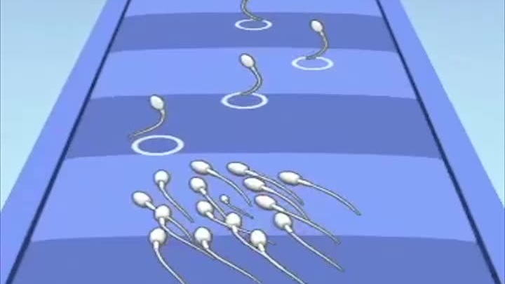 Sister's Growth and Development