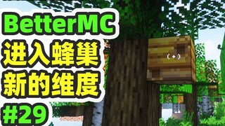 Minecraft: BetterMC29, có phải có một thế giới khác bên trong tổ ong không?