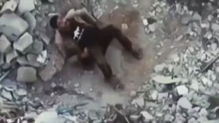 FREE PALESTINA