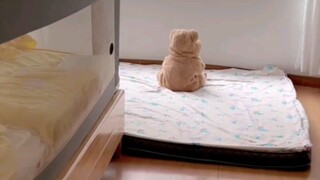 Trẻ con mà im lặng thì nhất định đang làm quái rồi... Giờ lấy đồ ăn vặt cũng biết lén lút vào phòng 