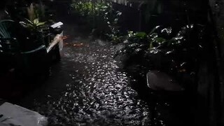 BAHA SA ILIGAN CITY | HEAVY RAINFALL UPDATE | 03-06-22