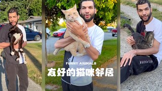He petted all the cats on the street and didn’t even leave any for me‼ ️